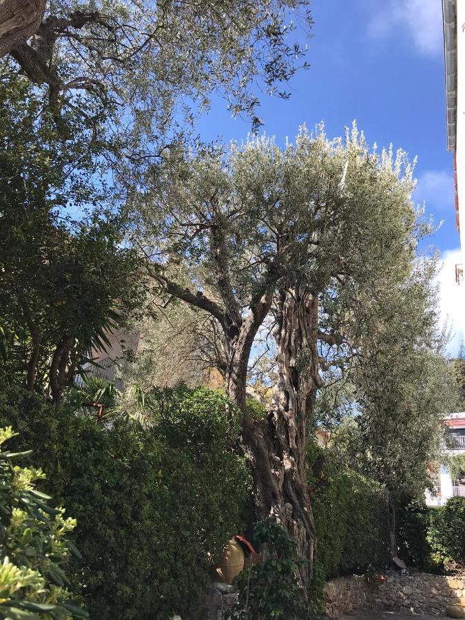 Apartament "L'Olivadou" St Jean Cap Ferrat Saint-Jean-Cap-Ferrat Zewnętrze zdjęcie