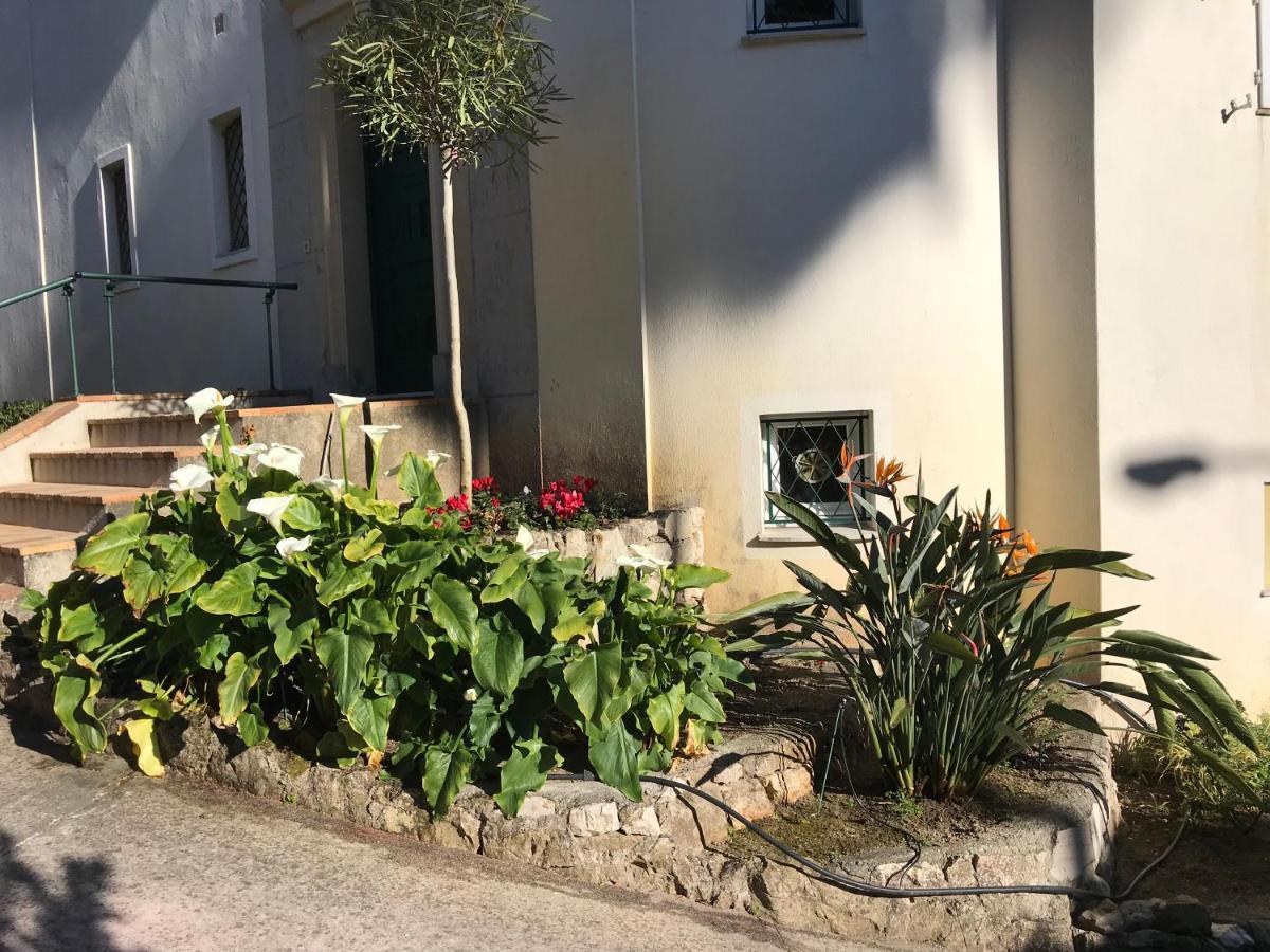Apartament "L'Olivadou" St Jean Cap Ferrat Saint-Jean-Cap-Ferrat Zewnętrze zdjęcie